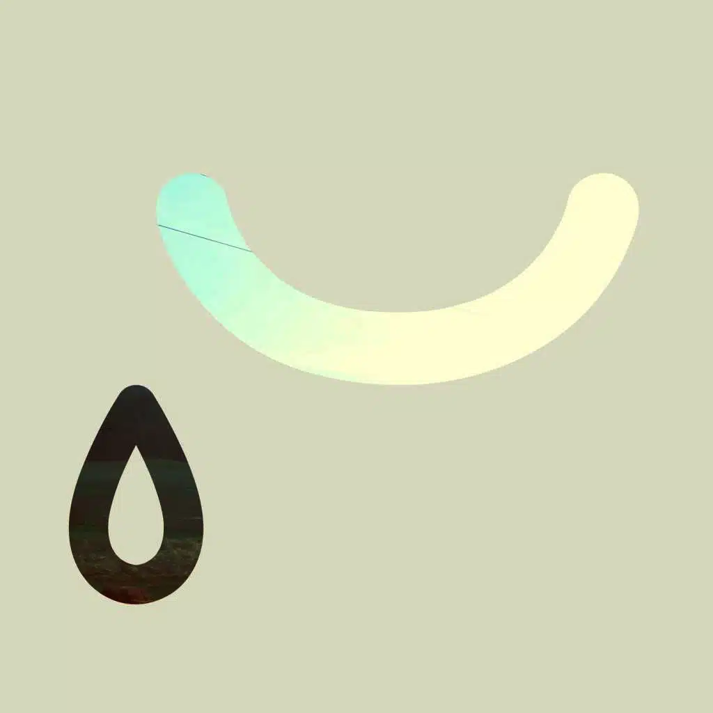 All The Snow Is Gone 