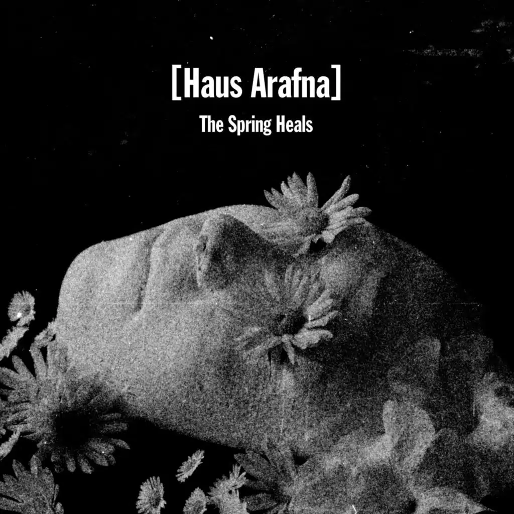 Haus Arafna