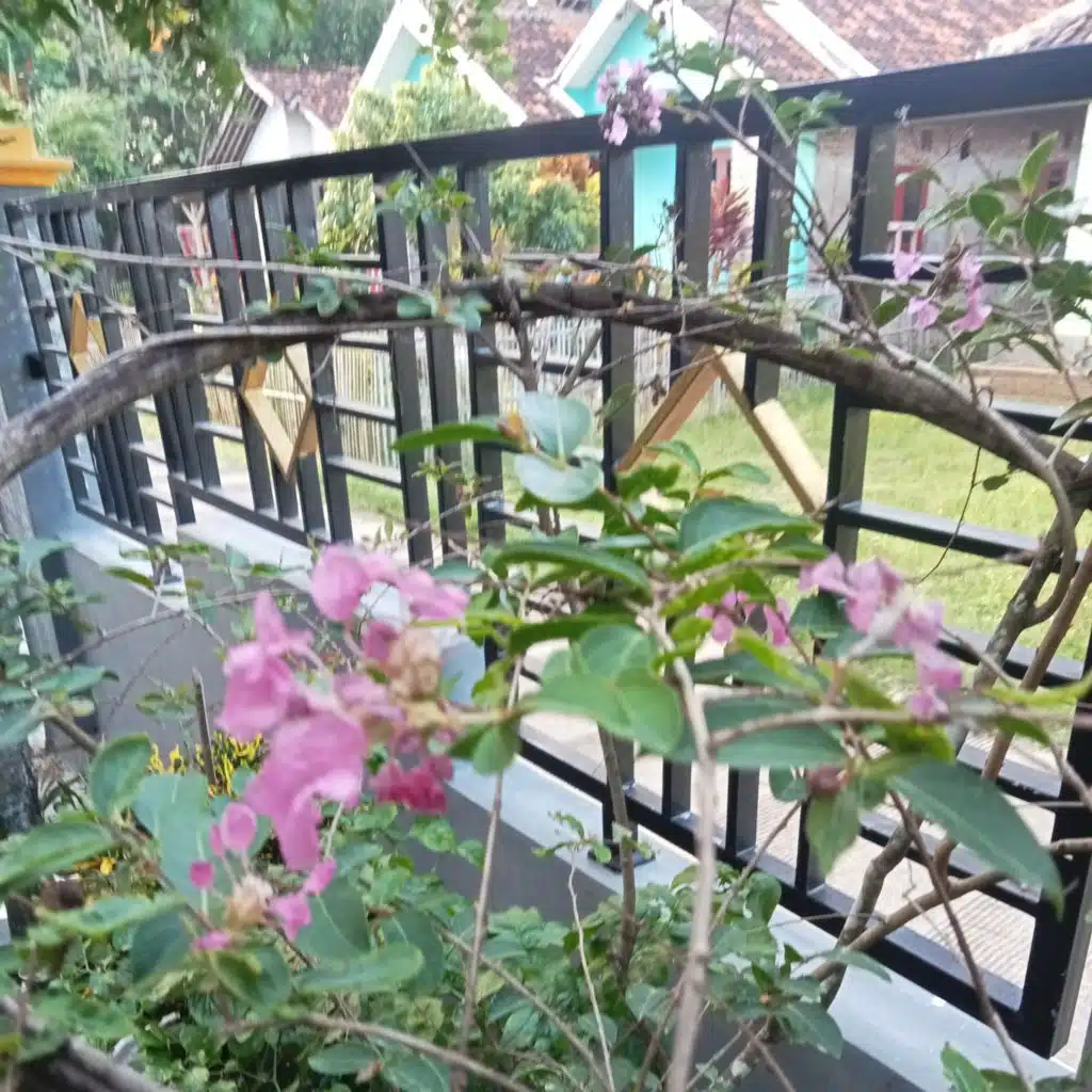 For Jah provide the bread