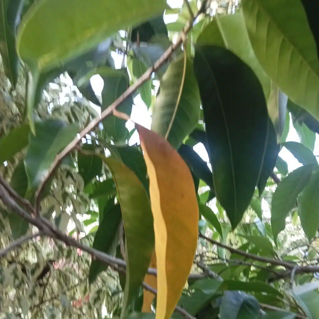 I wanna love you And treat you right