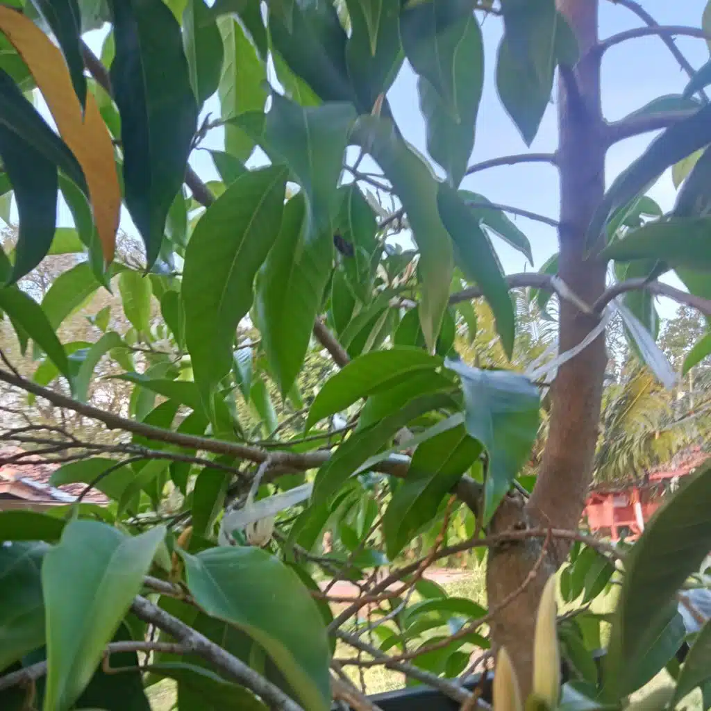 Every day and every night