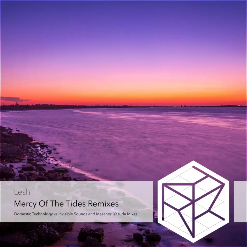 Mercy of the Tides (Domestic Technology vs Invisible Sounds Remix)