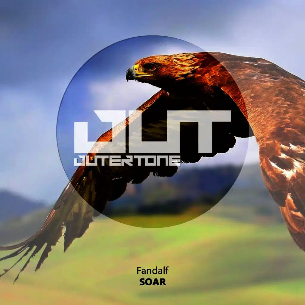 Soar