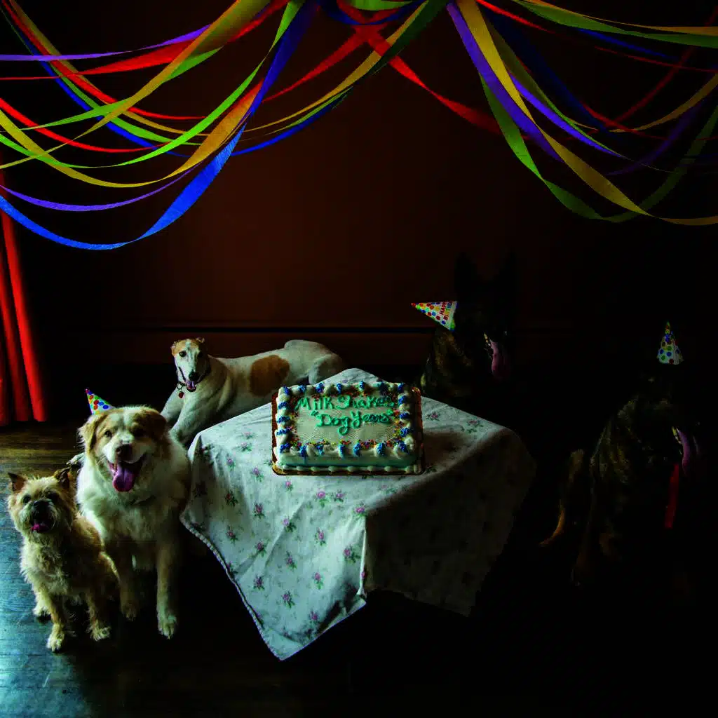 Dog Years