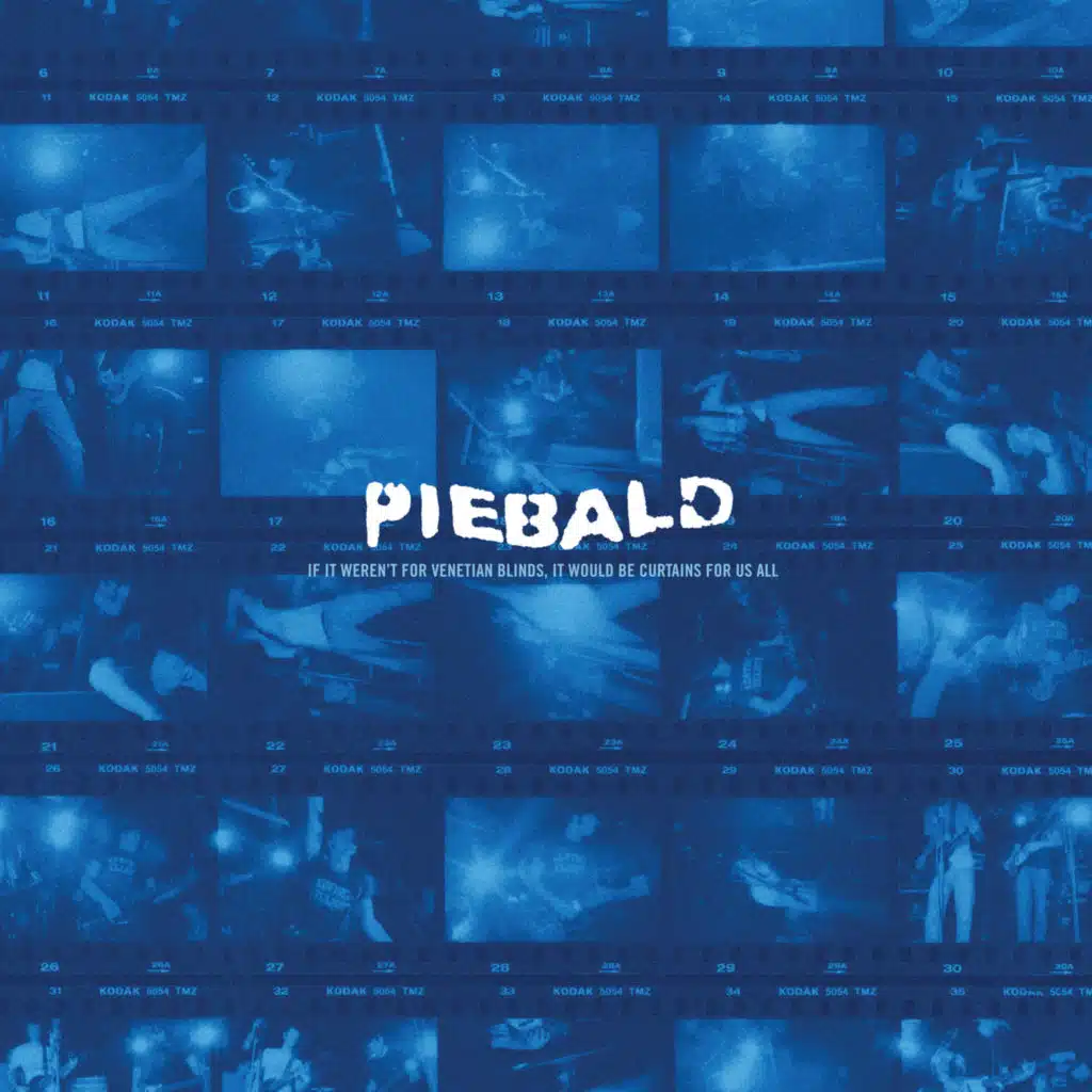 Piebald