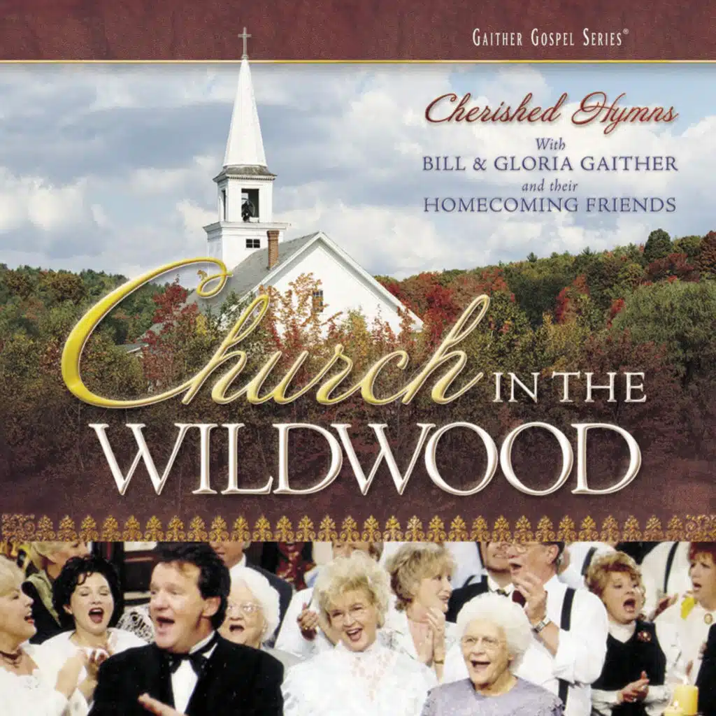 Church in the Wildwood (Live)