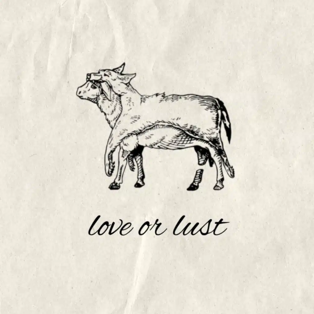 Love or Lust