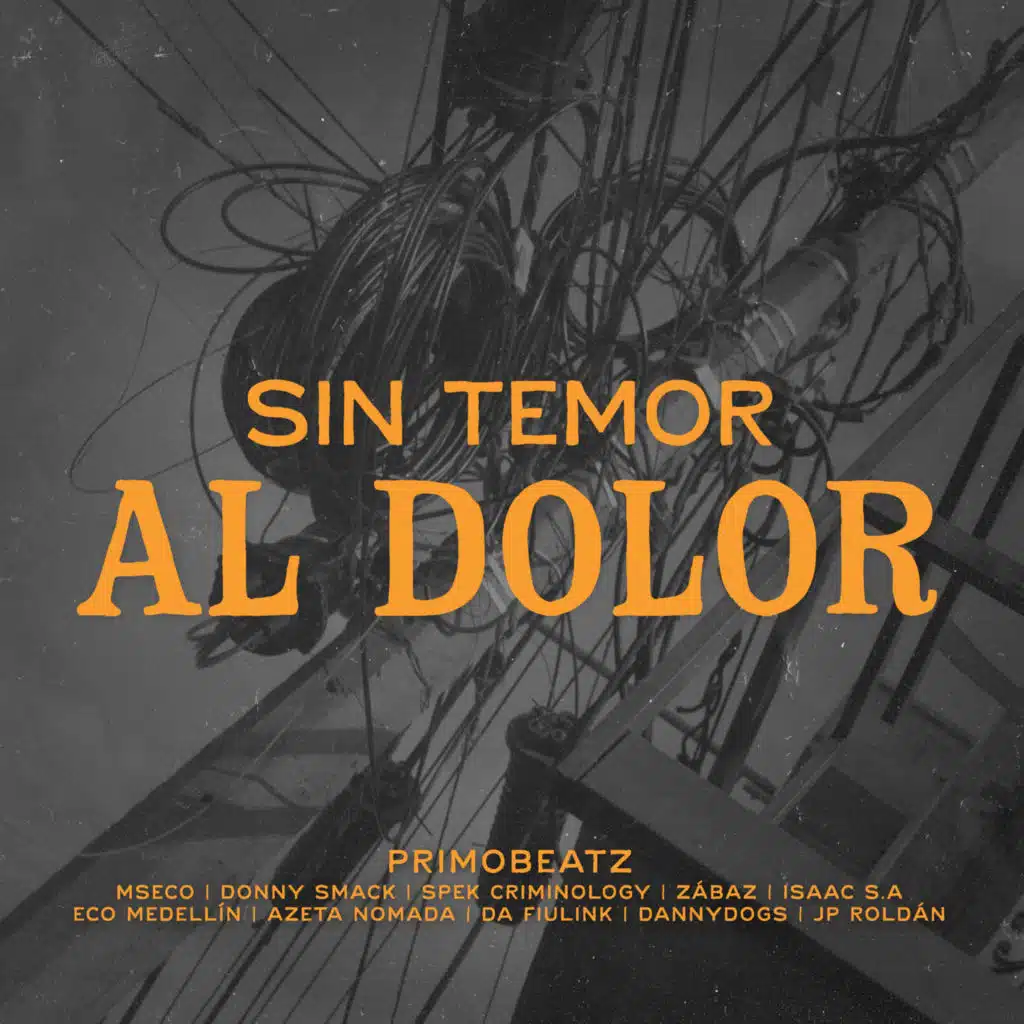 Sin Temor al Dolor (feat. Da Fiulink, Zábaz, Donny Smack, Eco Medellín, DannyDogs, Spek Criminology & Azeta Nomada)