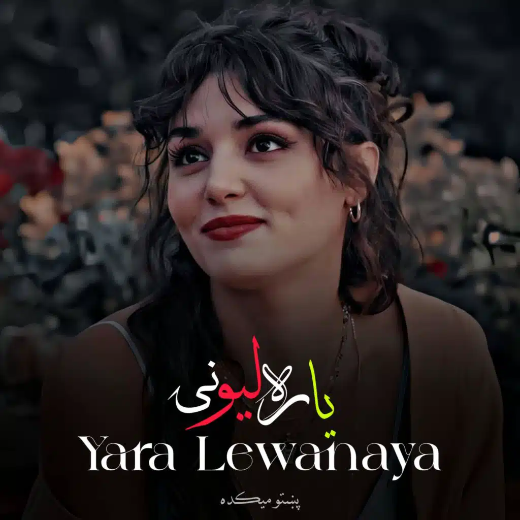 پښتو میکده