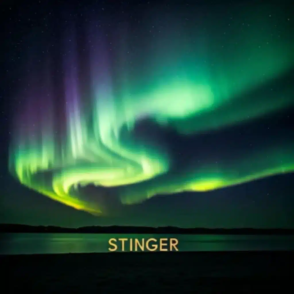 Stinger