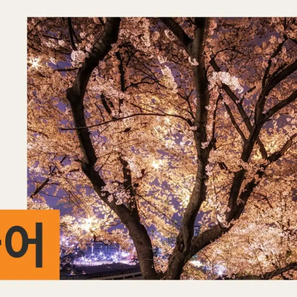 2025년 11월 21일 금요일 SBS 한국어 프로그램