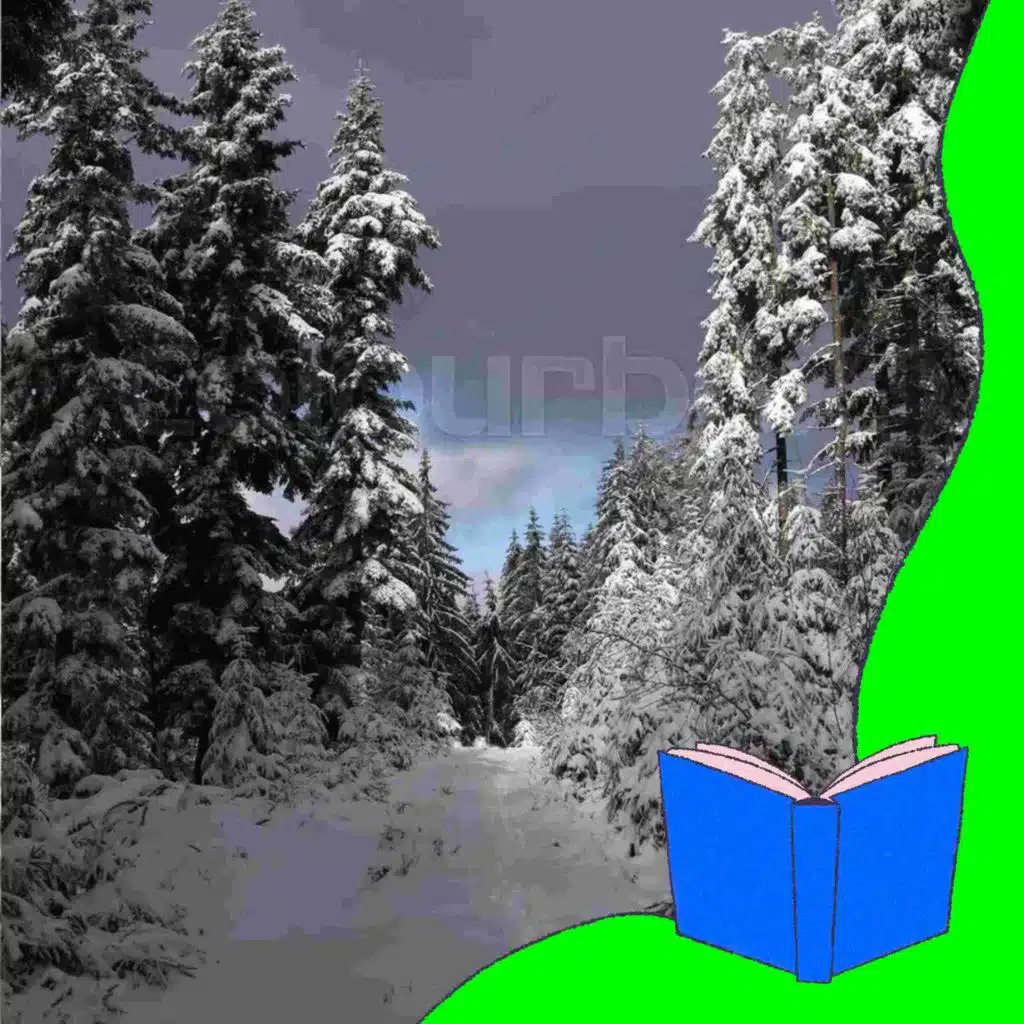 Spuren im Schnee – Verloren im Winterwald | Tiergeschichte ab 7