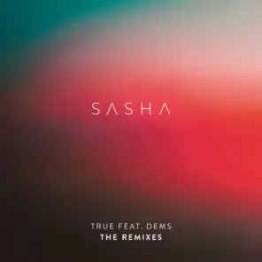 True (Theo Kottis Remix) [feat. Dems]