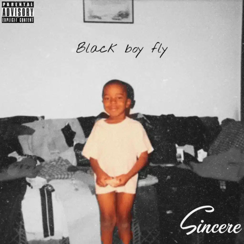 Black Boy Fly