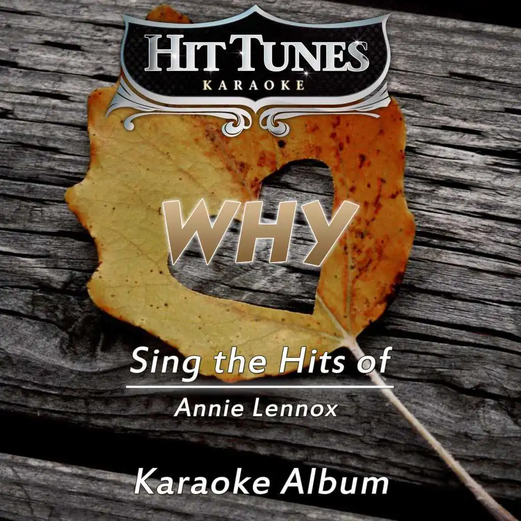 Why (Sing the Hits of Annie Lennox) (Karaoke Version)