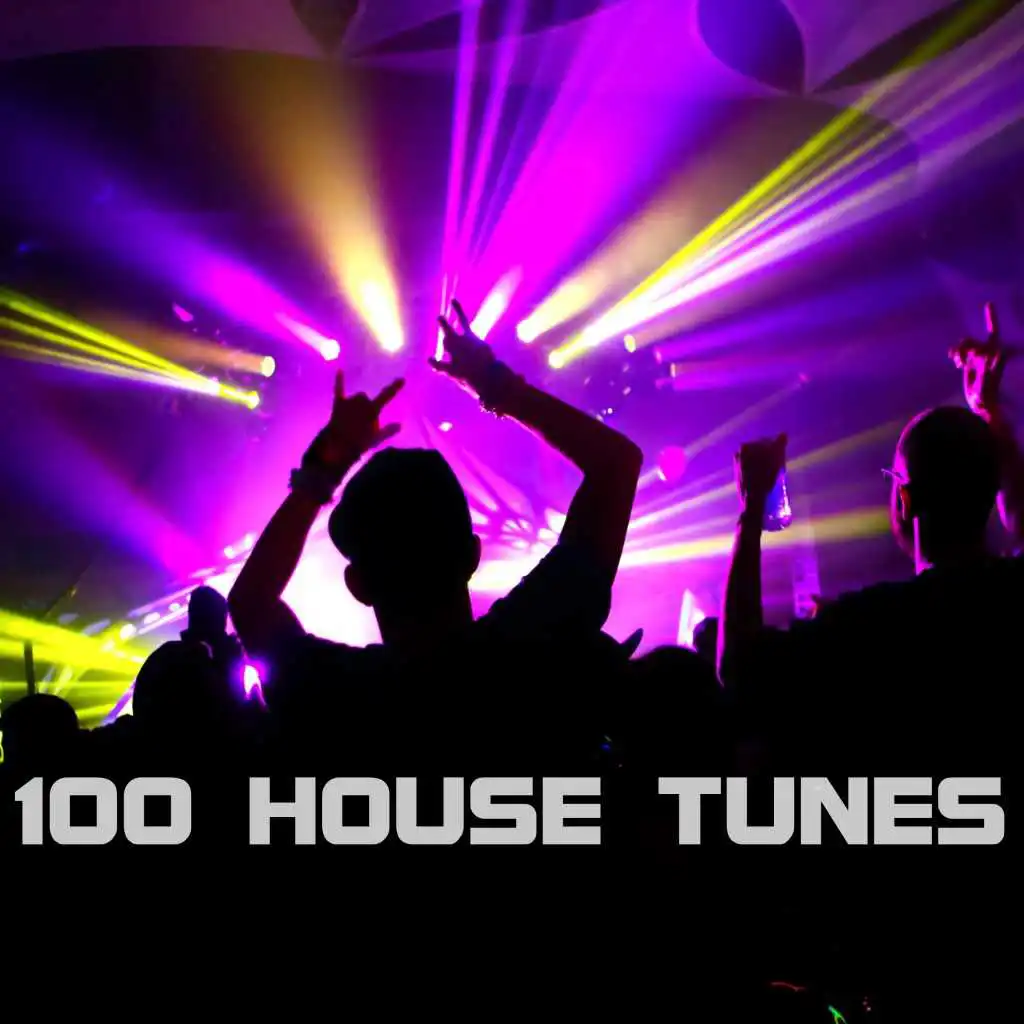 100 House Tunes