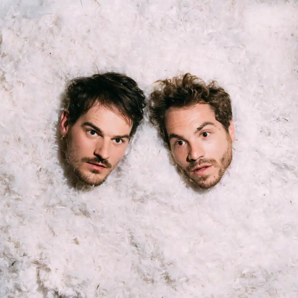 It looks like a bird, but...