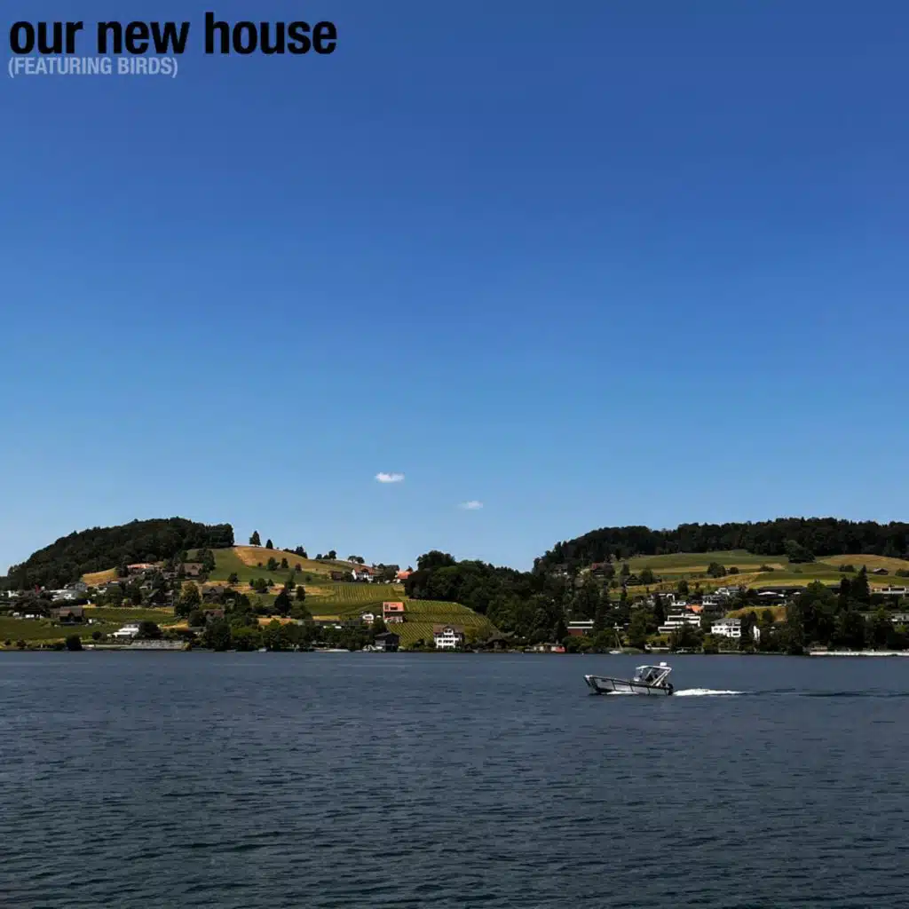 our new house (Featuring Birds)