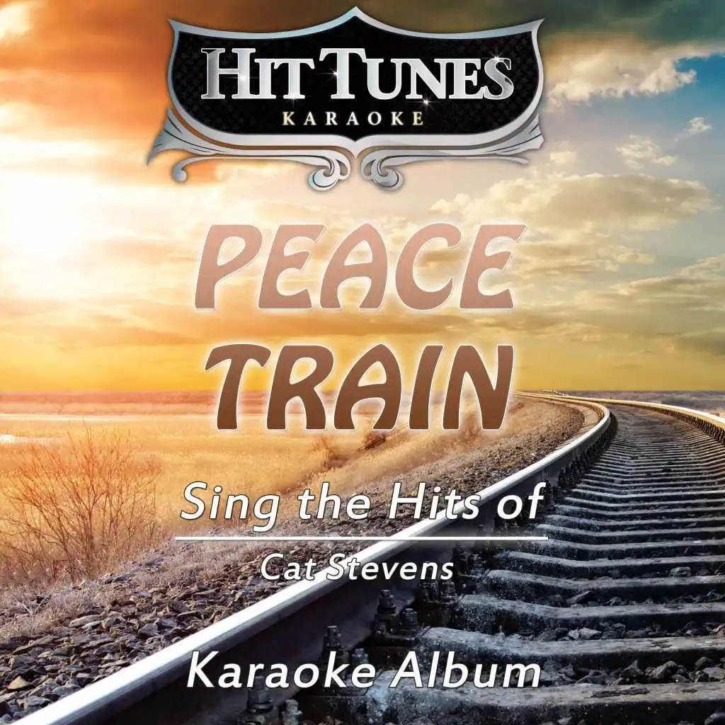 Peace Train (Sing the Hits of Cat Stevens) (Karaoke Version)