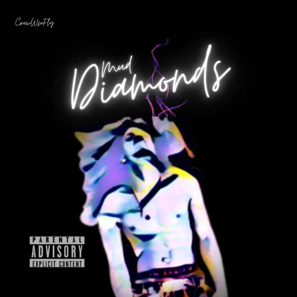 CrowWsoFly