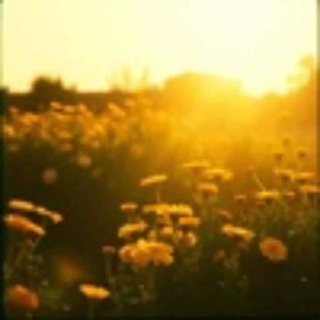 Tv فِي الْكِتَابِ