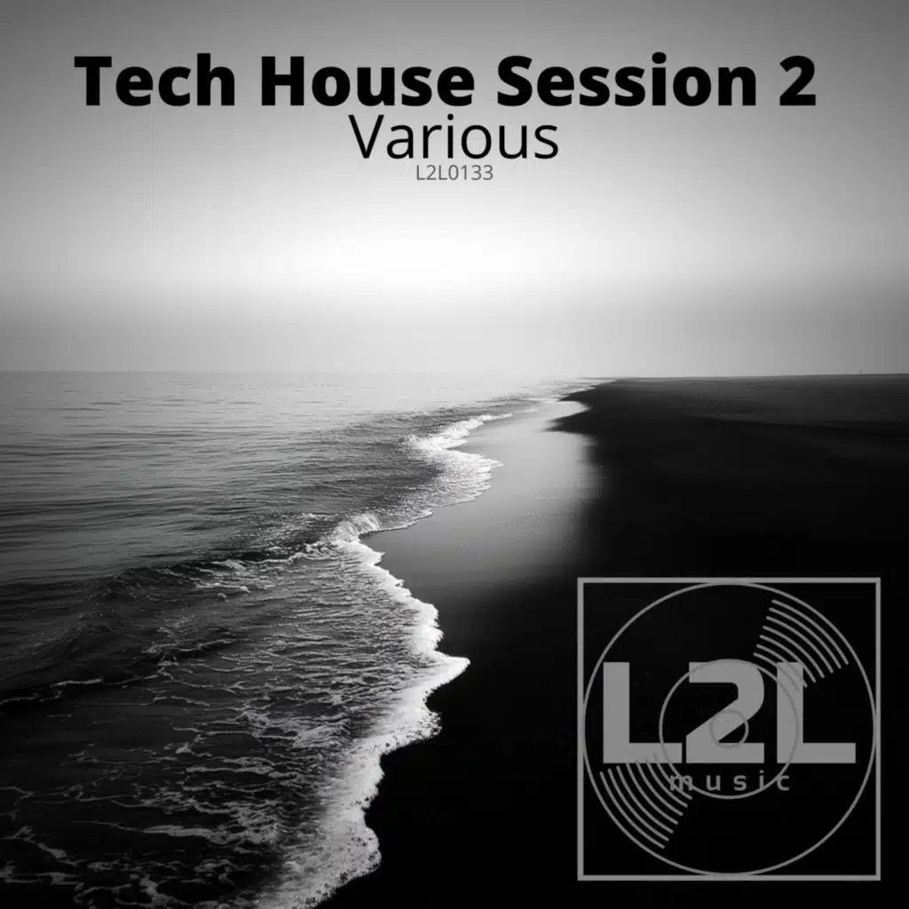 Various - Tech House Session 2