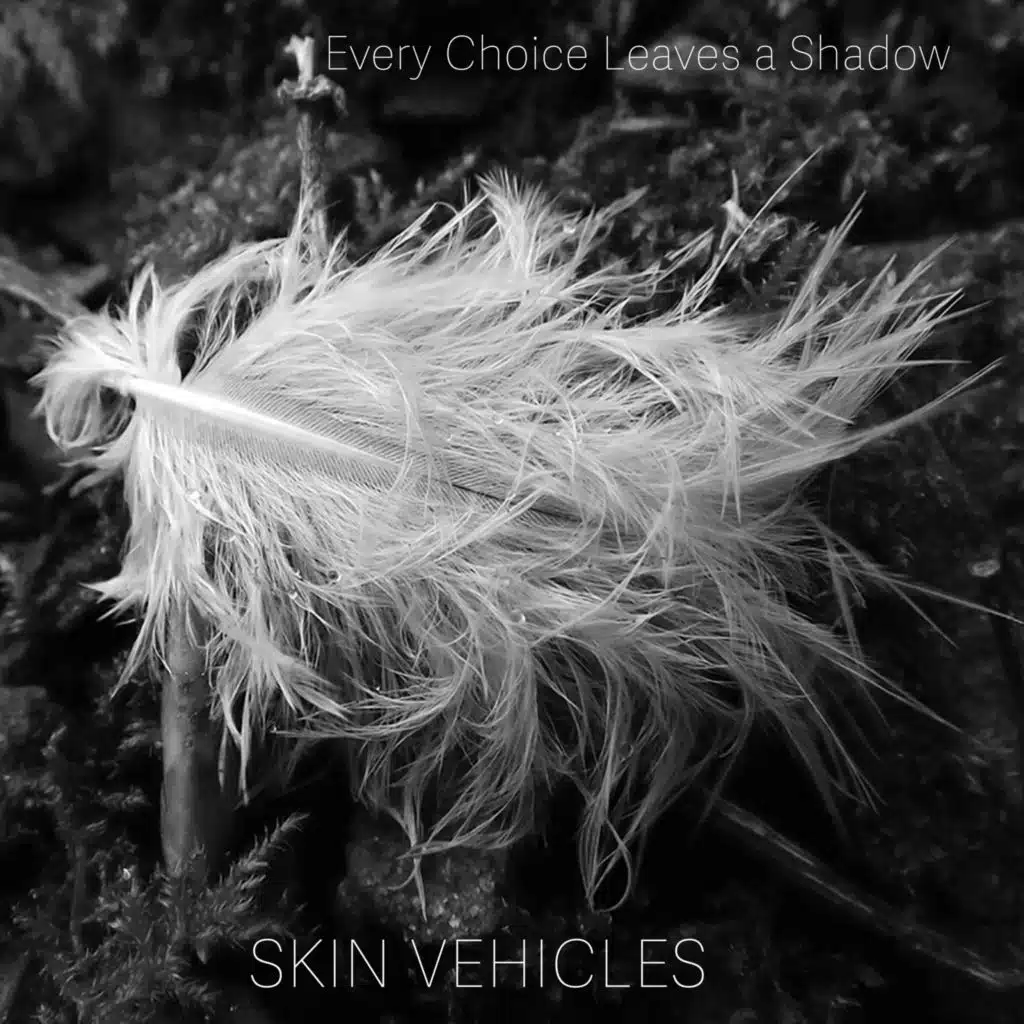 Skin Vehicles