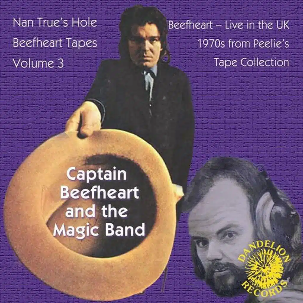 The Nan True's Hole Tapes Volume 3 (Live)