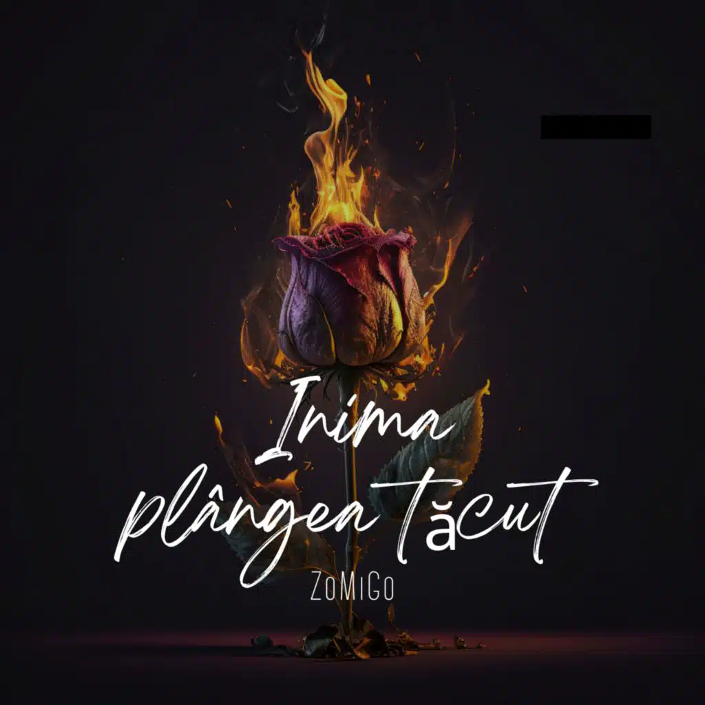 Inima plângea tăcut