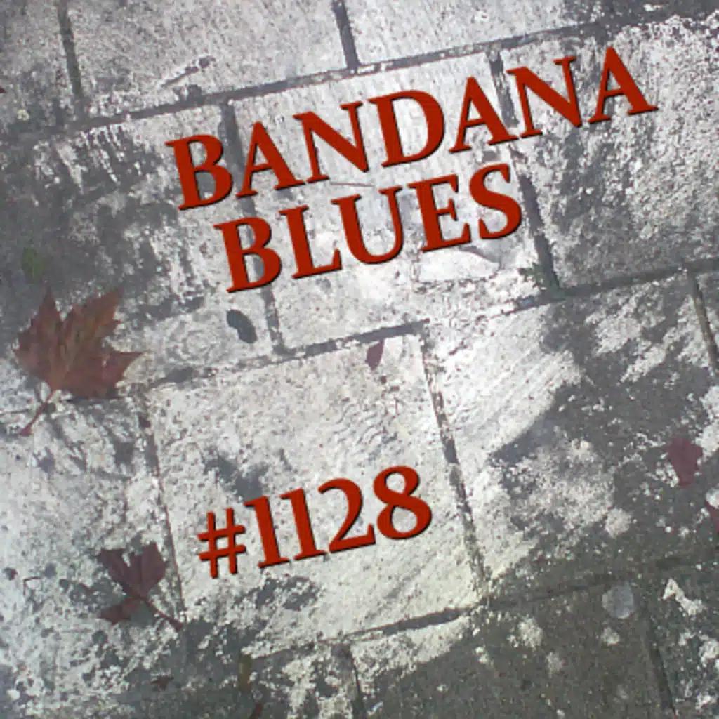Bandana Blues #1128 - Blues For A Reason
