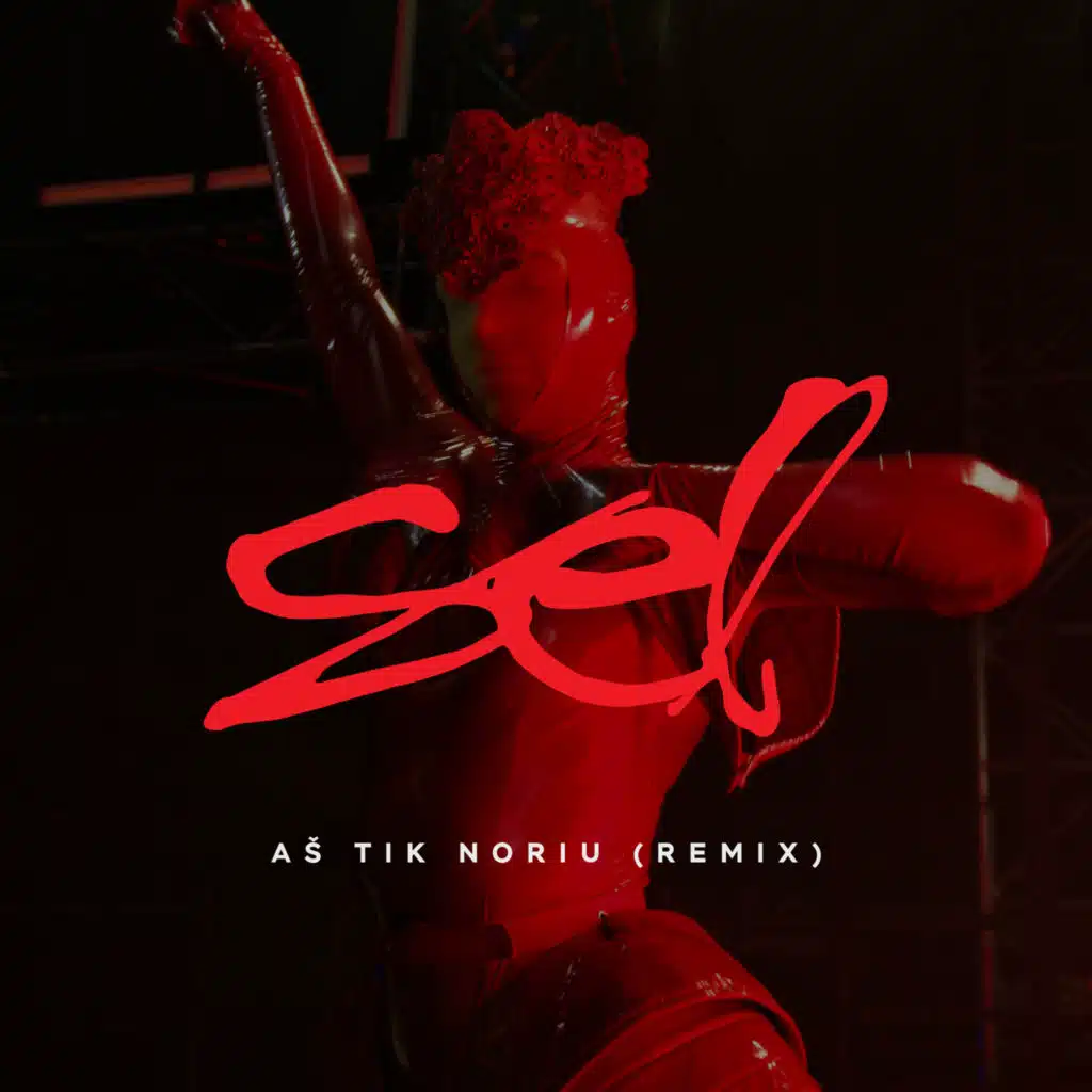 Aš Tik Noriu (Remix 2025) [feat. Egidijus Dragūnas]