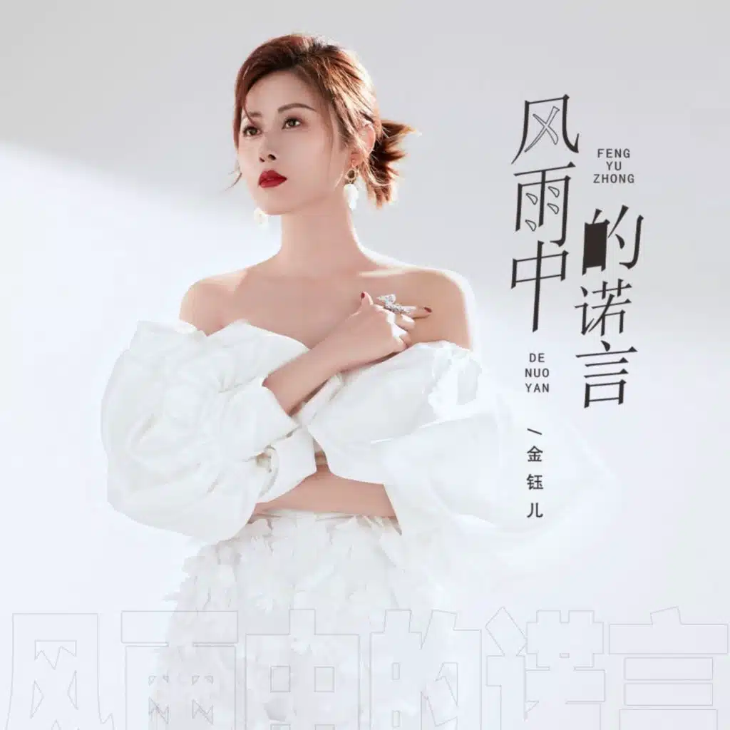 风雨中的诺言 (DJ阿尼版)