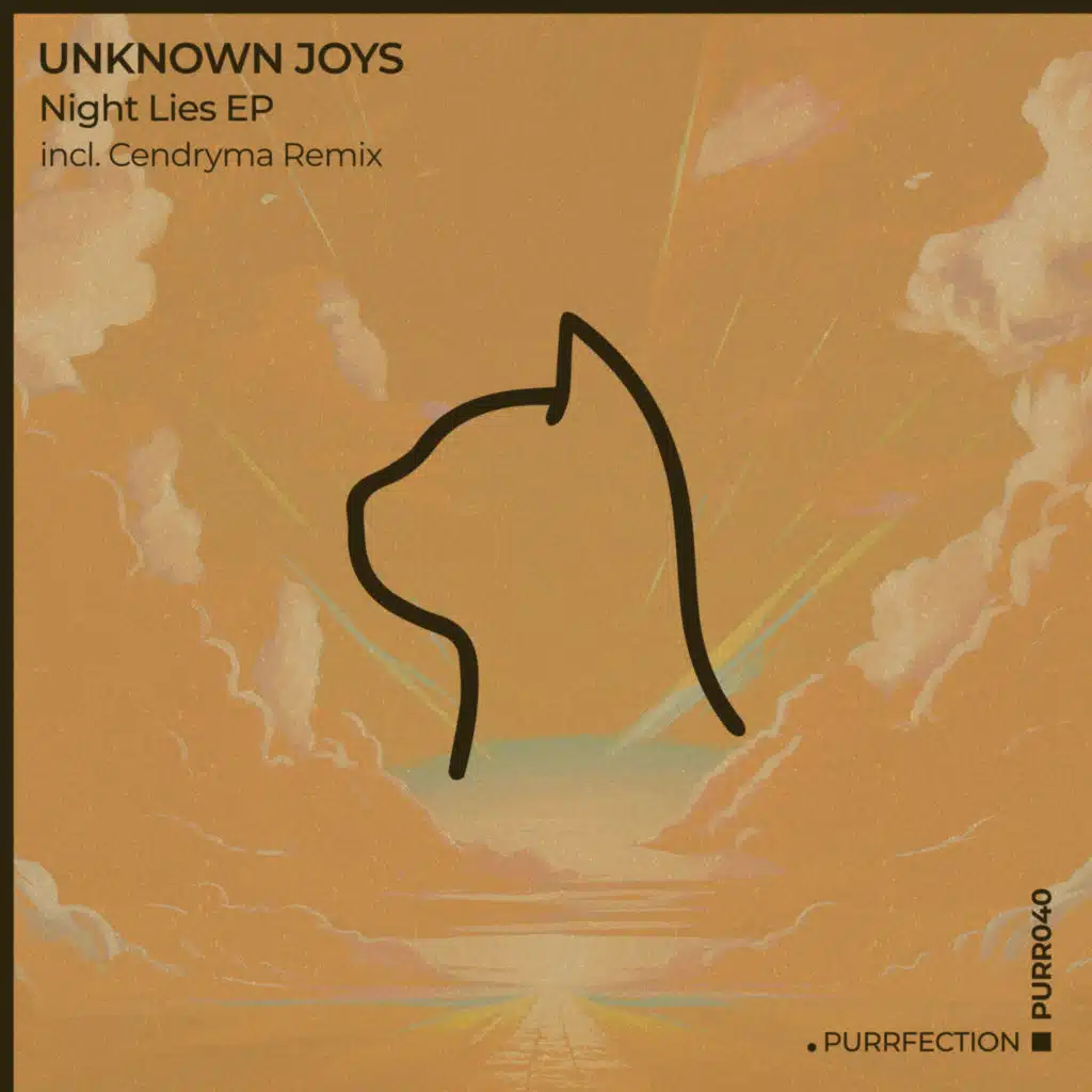 unknown joys