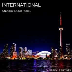 International Underground House