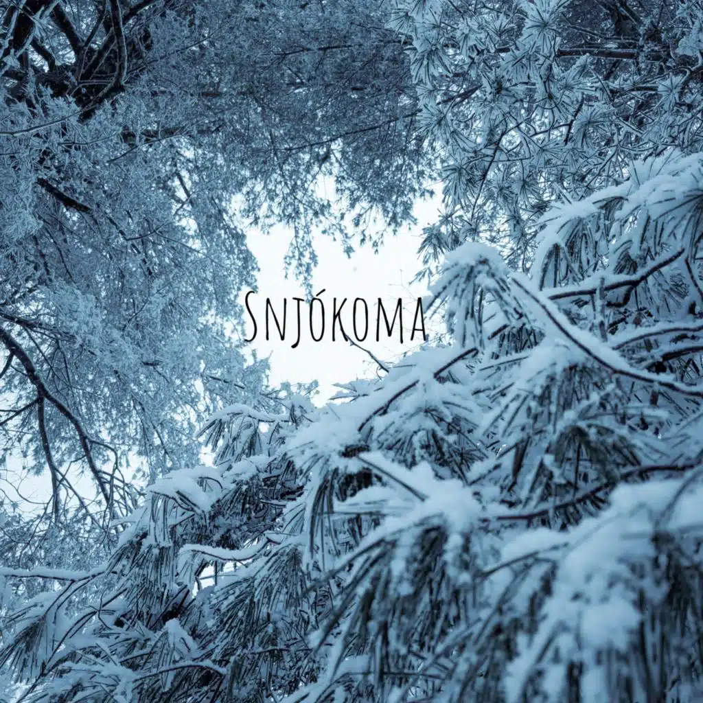 Snjókoma