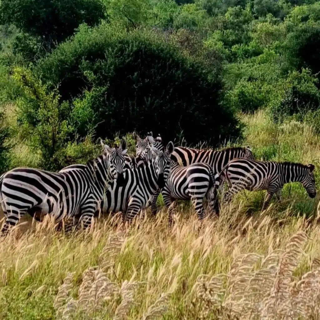 S13E3: TANZÁNIA - Starý život v novej dobe