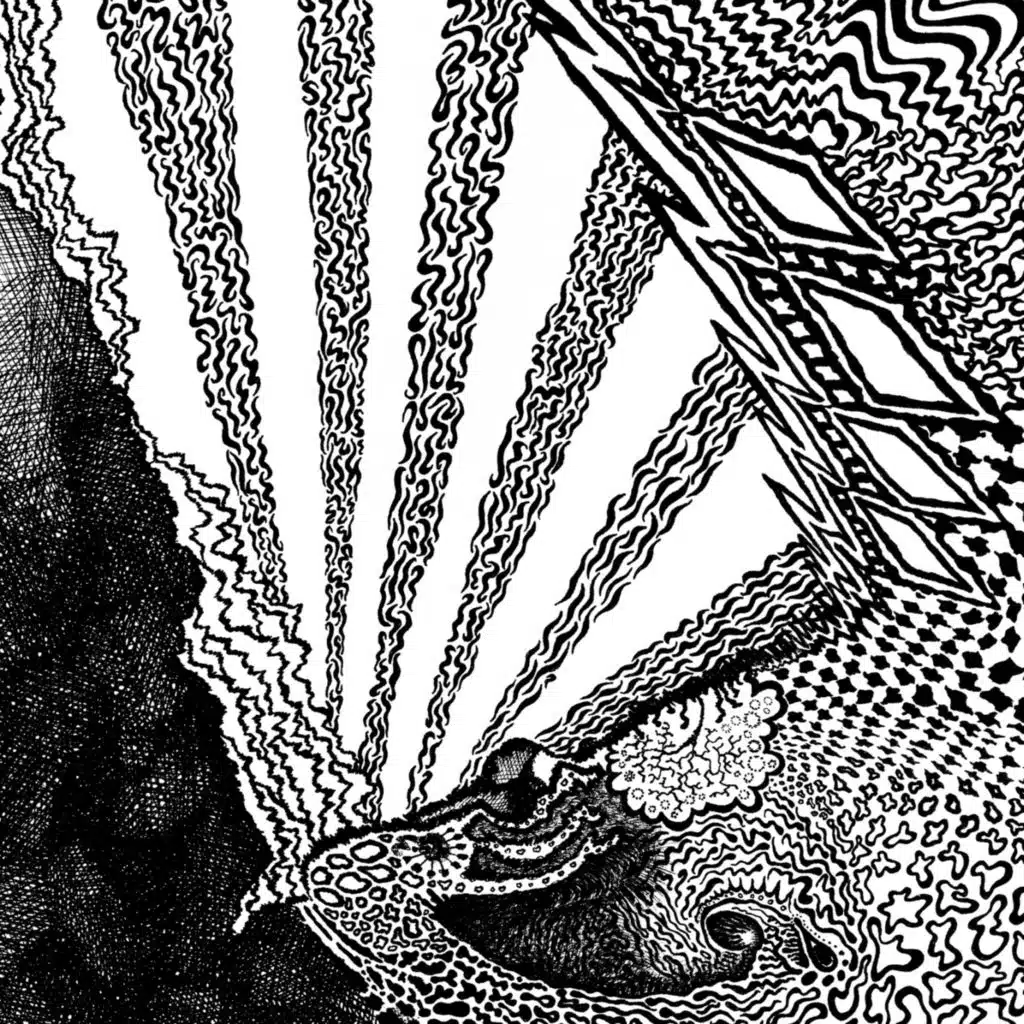 White Hills and Gnod