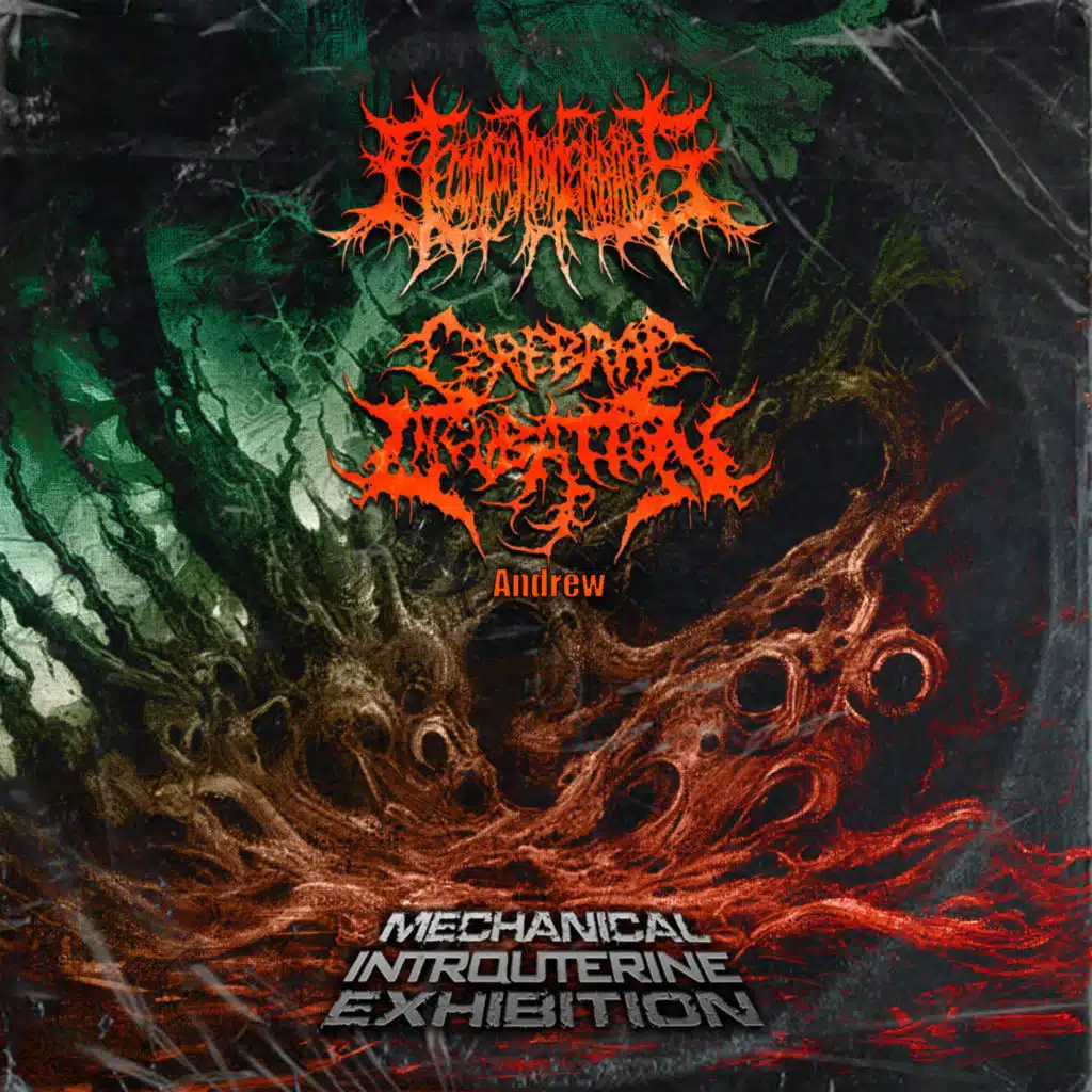 Decomposition Of Entrails