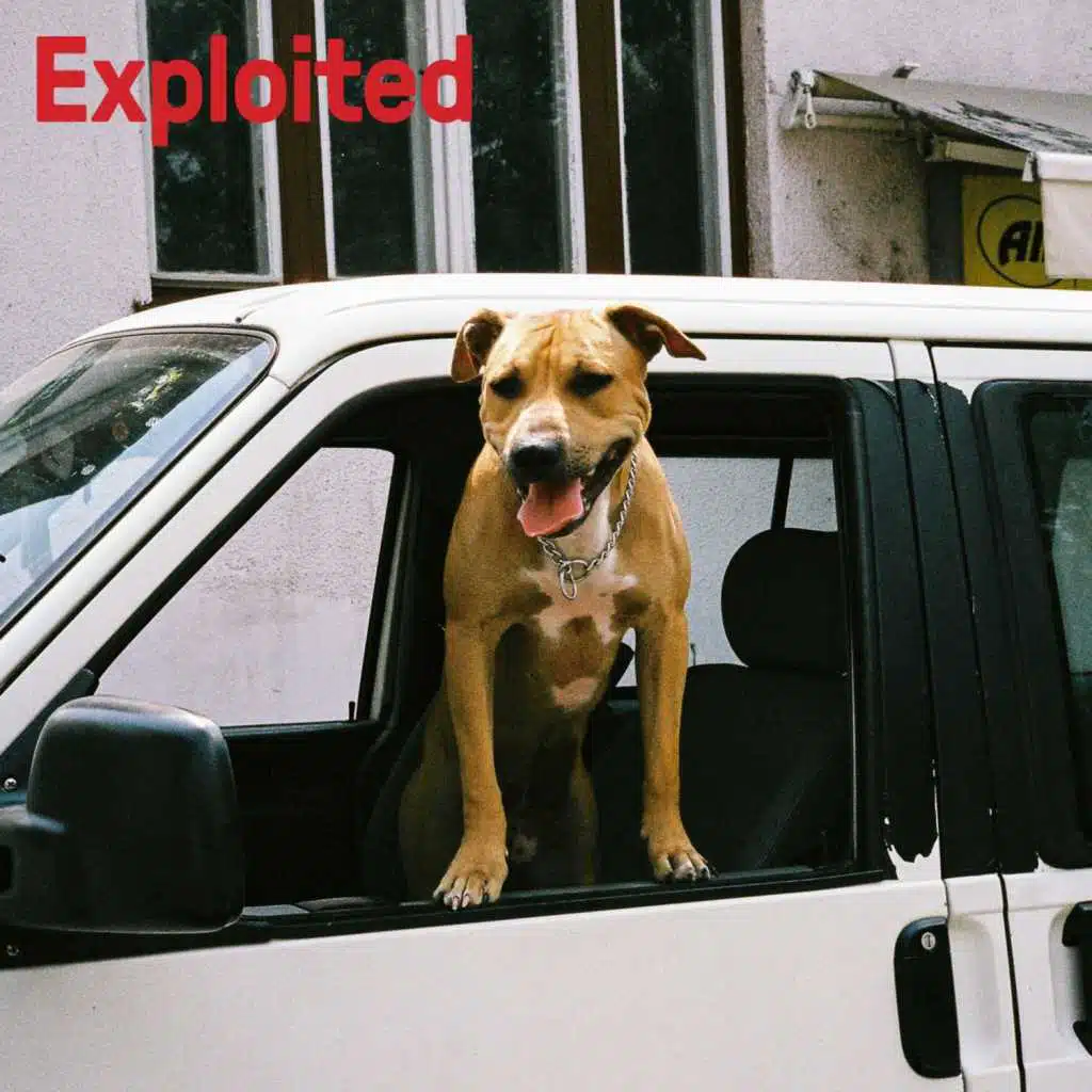 Adana Twins & Human Life