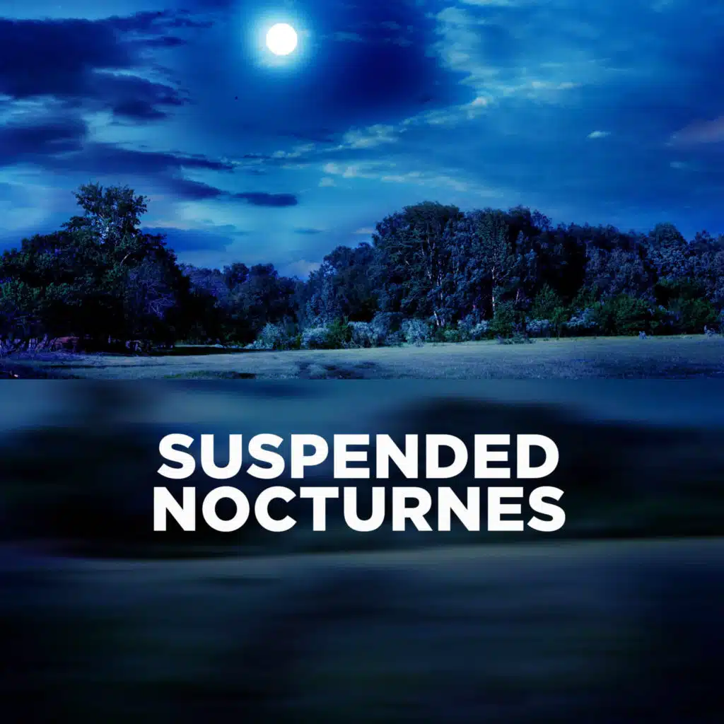 Suspended Nocturnes