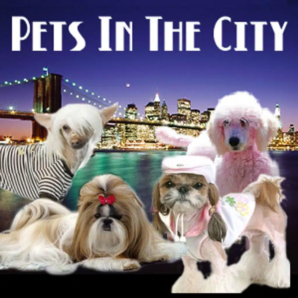 PetLifeRadio.com - Pets In The City - Episode 43 Shelter from the Storm- Everyday Angels Help New York City Pets and Families Weather the Da