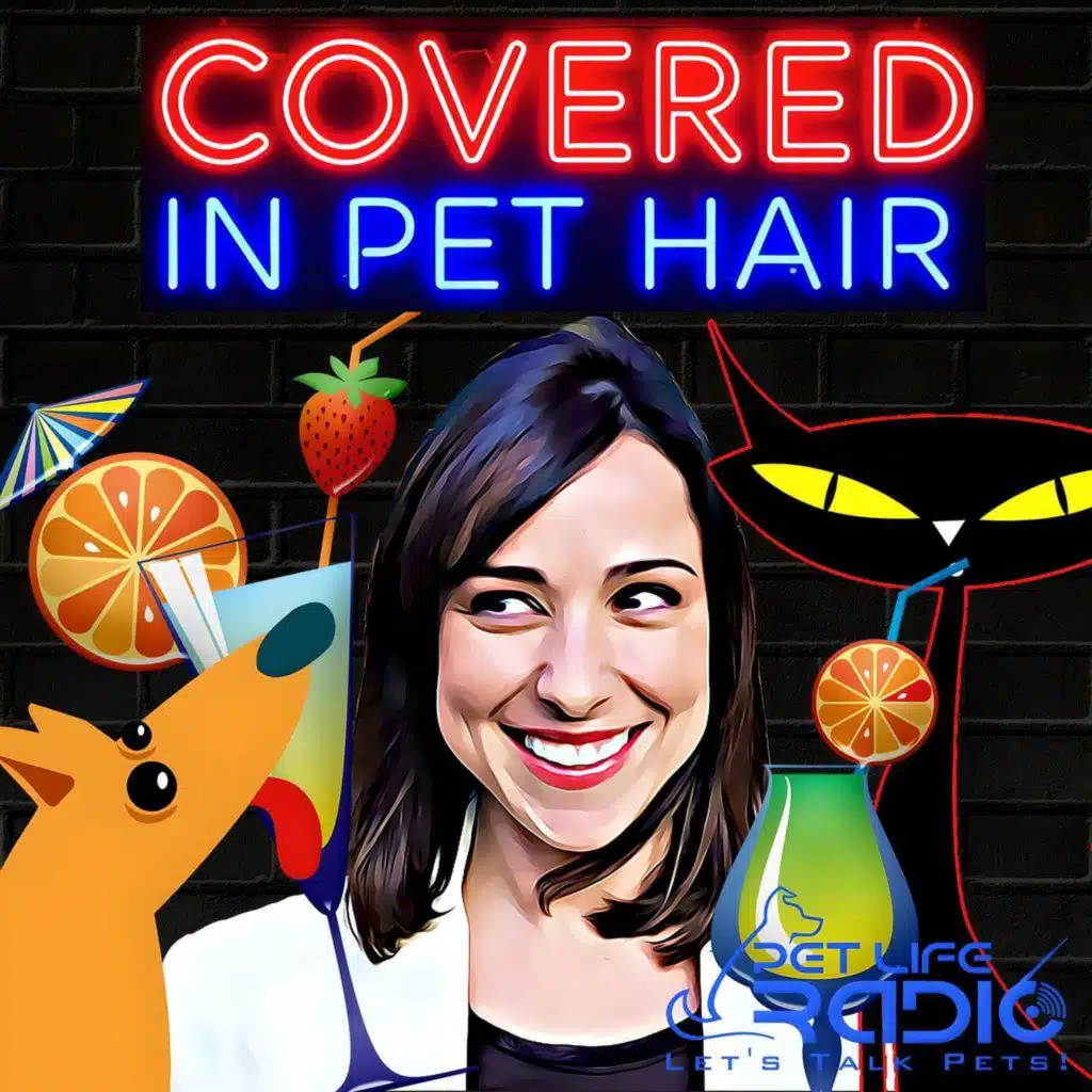 Covered In Pet Hair - Episode 104 The Sharks Got it Wrong! Noise-Cancelling Headphones for Dogs
