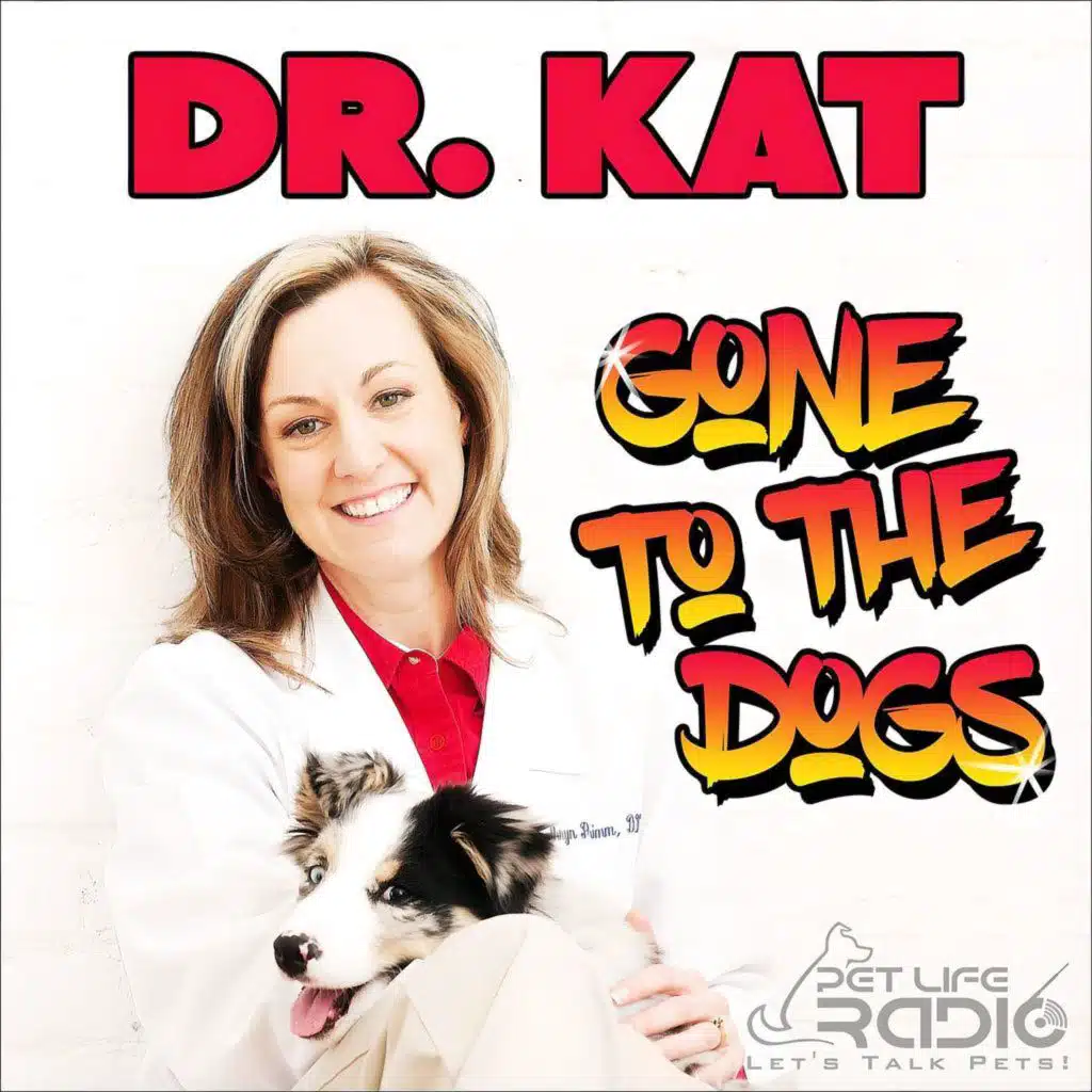 Dr. Kat Gone to the Dogs - Episode 26 Growing Old Gracefully: The Truth About Pet Aging