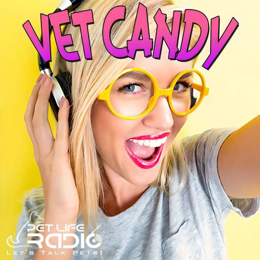 Vet Candy -  Episode 48 What You Need To Know About Joint Health