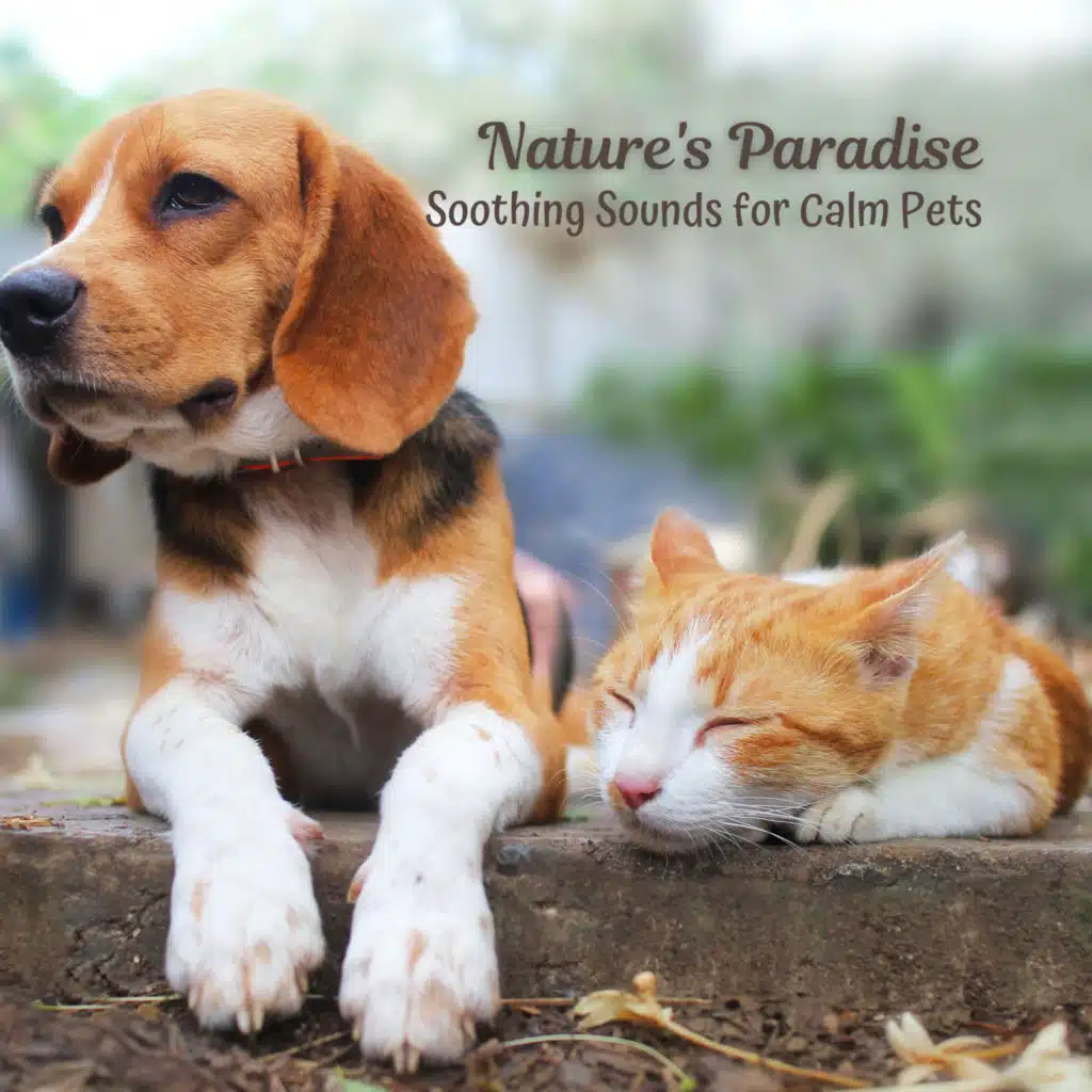Nature's Paradise: Soothing Sounds for Calm Pets