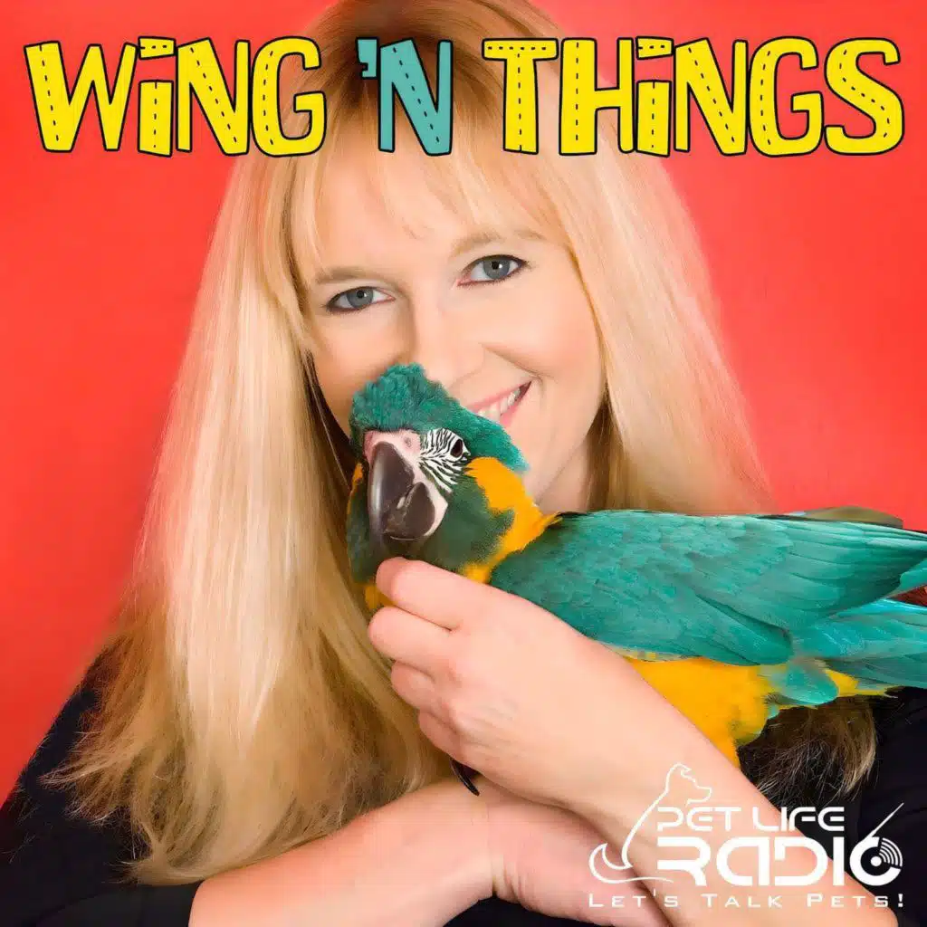 PetLifeRadio.com - Wings 'n Things - Episode 50 Preview of Our New Bird Show, "Bird's Eye View"