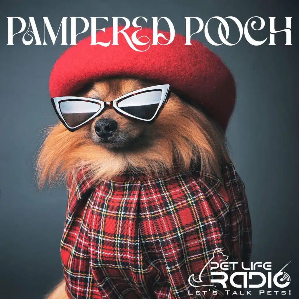 PetLifeRadio.com - The Pampered Pooch - Episode 12 What's Really in Pet Food