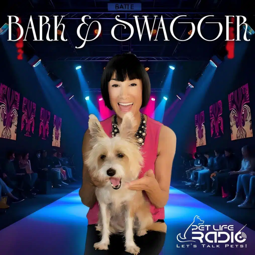 Bark And Swagger - Episode 125 Hot New Luxury Pet Fashion Brand Revealed