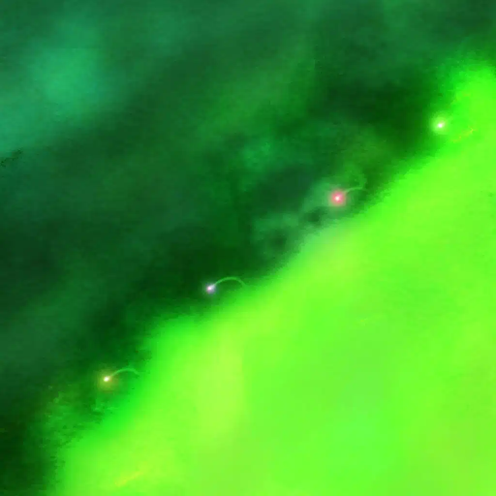 Someday Sometimes (Demo Version)