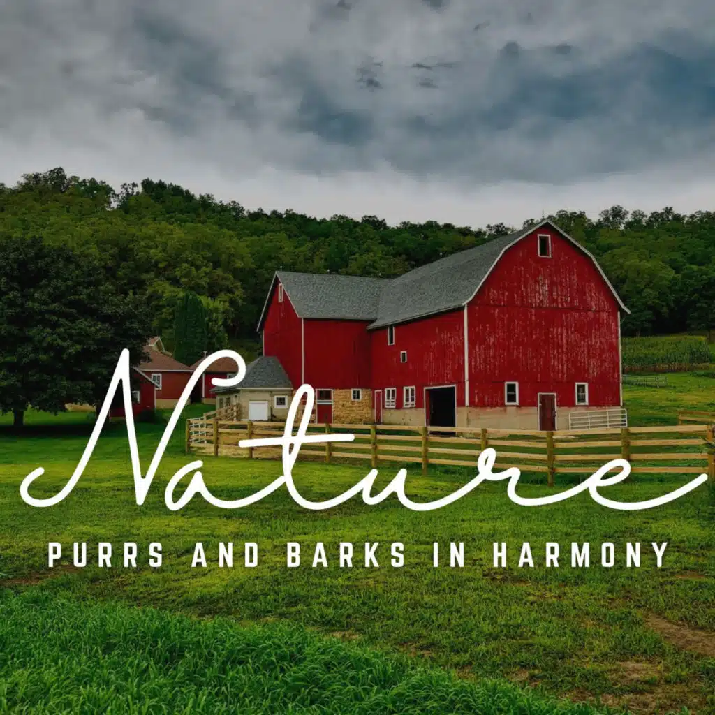 Purrs and Barks in Harmony: Sound Waves